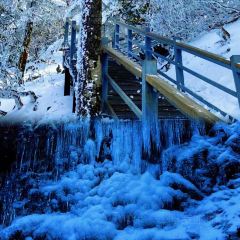 轿子山游雪山庄 User Photo