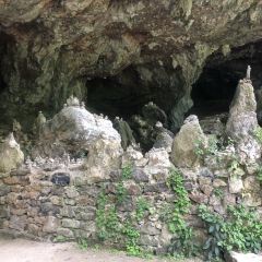 新港式大酒楼(胜地心苑步行街店) User Photo