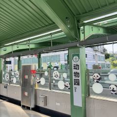 百万卤鹅重庆菜馆·家宴旗舰店(动物园店) User Photo