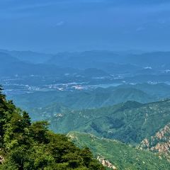 桑梓豆片早点(白塔寺店) User Photo