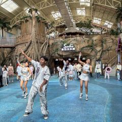 嘉兴开元森泊度假酒店·森灵岩洞餐厅 User Photo