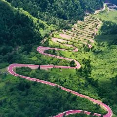 喜马拉雅音乐藏餐吧 User Photo