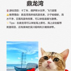 XINYUELOU User Photo