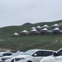 清真·敦来顺·手抓羊肉 User Photo