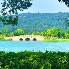 枇杷熟了coffee User Photo