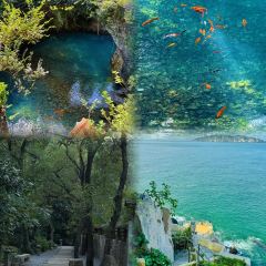 游江小溪鱼馆 User Photo