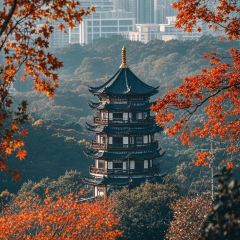 铛牛佬牛肉牛杂火锅城(江滨店) User Photo