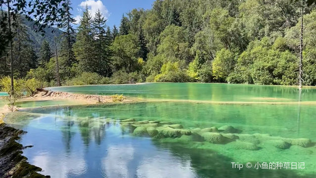 Jiuzhai Paradise Fairy Pool