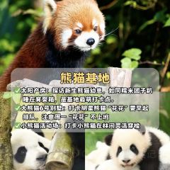 DOU XIANG SHI User Photo