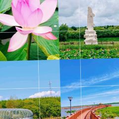 MA XIAO MA JIA User Photo