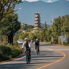 正宗会理鸡火丝(龙眼井店) User Photo