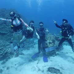 Oleai Beach Bar & Grill User Photo