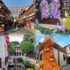 Li Tai Mang Yan Ju Shou Qiang Tui 여행 사진