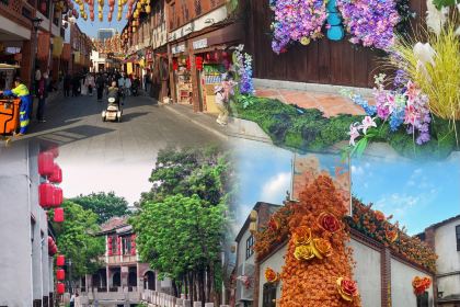 Li Tai Mang Yan Ju Shou Qiang Tui