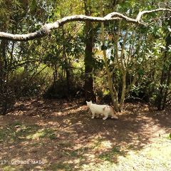Hayes Common User Photo