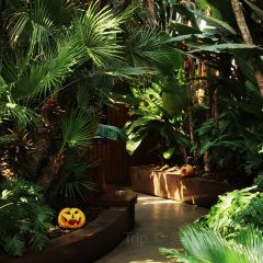 Le Cabestan User Photo