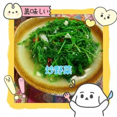 红稻农家 User Photo