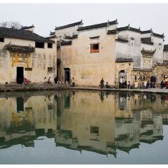 Yunhegudu (xinghuaxilu) User Photo