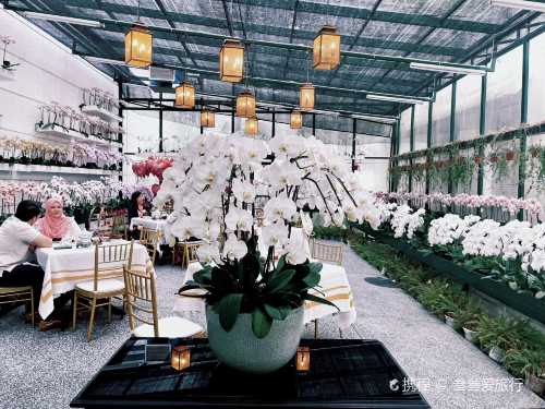 The Orchid Conservatory