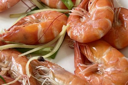 MEI WEI XIAN HAI XIAN FAN DIAN