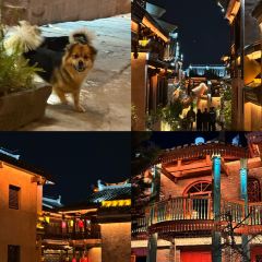 邛海打魚匠張用戶圖片