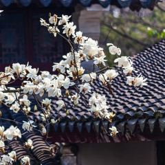 PINGJIANGSONG SUZHOU CUISINE IN GARDENS User Photo
