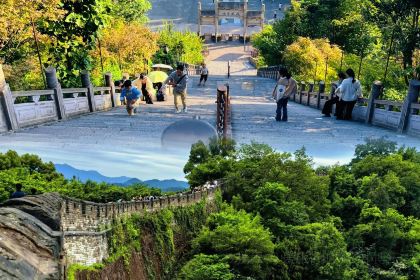 紫阳九九海苔饼