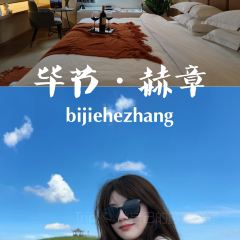 赫章肆楼伴酸汤牛肉店 User Photo