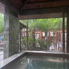 河阳鱼馆(凤凰店) User Photo