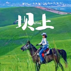 二十二度客栈深夜食堂 User Photo