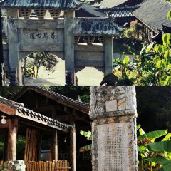 Zha Xi's Bistro User Photo