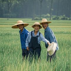 XIAJIEWABAOFAN User Photo