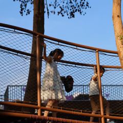 树蛙部落(仙女湖店)·餐厅 User Photo