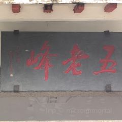 LAO ZHOU JI DAN BING User Photo