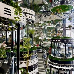 3号仓库·创意中国菜(上海首店) User Photo