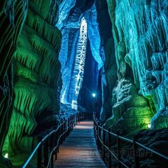 GOLD GARDEN User Photo