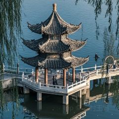 铁锅青年地锅鸡(宁海店) User Photo