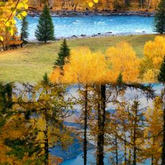 新疆风味土火锅快餐 User Photo