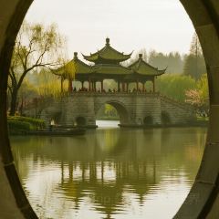 NI HON RYOU RI User Photo