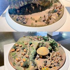 Tres Estrellas User Photo