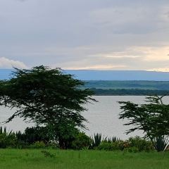 Seasons Elementaita Country Lodge User Photo