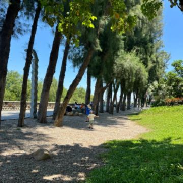 大鍋強·蒸海鮮青島菜（上流滙店）用戶圖片