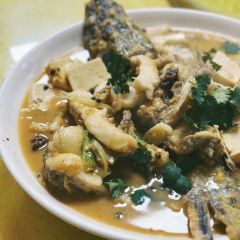 煲来饱去冷水鱼 User Photo