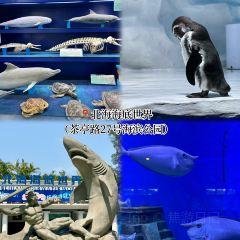 河内街 User Photo