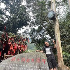 岑溪古典鸡良辰美景餐厅(五隆新屯商业街店) User Photo