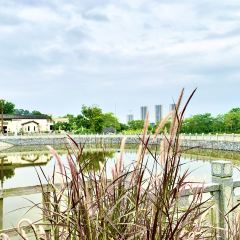 鵬城飯館張用戶圖片
