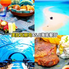 5.8 Undersea Restaurant張用戶圖片
