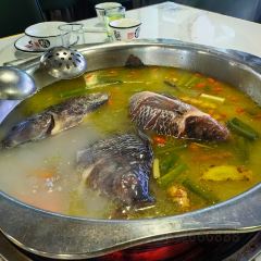 老店马街滋补罗非鱼清真园 User Photo