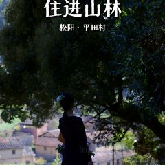 云上平田·爷爷家咖啡 User Photo