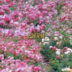 云间花境餐厅 User Photo
